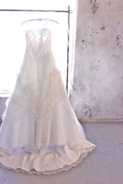 真似したい 芸能人 セレブのウェディングドレス集 結婚式ムービー制作のプリンセスネット